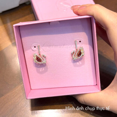 Bông Tai Swarovski Chính Hãng Dancing Swan Earrings 5614124