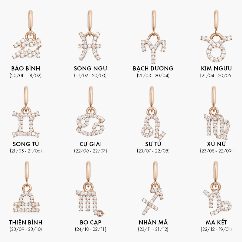 Charm Cung Hoàng Đạo Daniel Wellington Zodiac Watch RG
